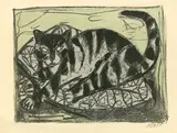 Otto Dix, Katze, 1959, Farblithographie auf Bütten