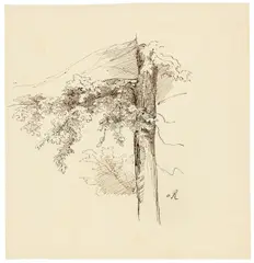 Baumstudie by Carl Friedrich von Rumohr, Feder in Schwarzbraun auf dünnem Velin (Wasser­zeichen: [W]HATMAN), sold May 2018