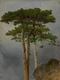 Jakob Schufried, Kiefern im Gebirge, 1846, Öl auf leichtem Karton