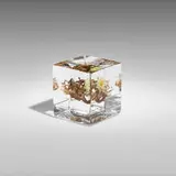 Paul Stankard, Experimental paperweight