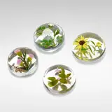 Paul Stankard, Botanical paperweights, set of four