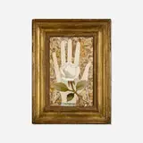 Richard Blow, Untitled (Hand)