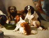 Paul Van der Vin, A hound, terrier and two spaniels, oil on canvas