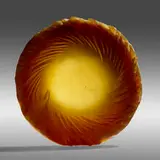 Alex Gabriel Bernstein, Amber Disc, 2007, cast, cut and polished glass