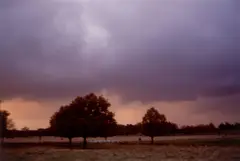 Nan Goldin, Stephen & Ulla in Richmond Park, London, 2002, Cibachrome-Abzug