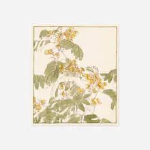 Hannah Overbeck, Untitled (botanical study), watercolor and ink on paper