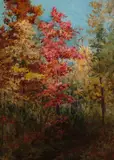 D. Howard Hitchcock, A grove of trees