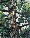 Ralph Fleck, Birkenstück 6/III, 1985, Öl auf Leinwand