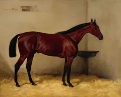 Julius von Blaas, A Bay horse in a stable, oil on canvas