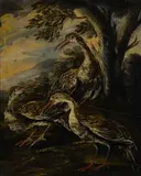 called il Crivellino Giovanni Crivelli, A study of birds with a companion painting (a pair), oil on canvas