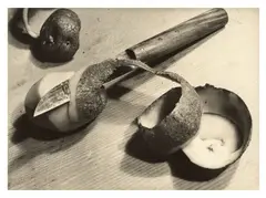 Aenne Biermann, Kartoffel auf Holztisch, 1928, Vintage. Silbergelatineabzug
