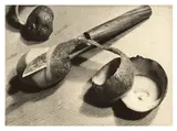 Aenne Biermann, Kartoffel auf Holztisch, 1928, Vintage. Silbergelatineabzug
