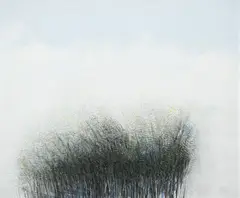 Kimmo Kaivanto, Spring, gouache on paper
