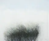 Kimmo Kaivanto, Spring, gouache on paper