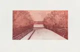 Susanne Gottberg, Vapautettu (Liberated), etching on paper