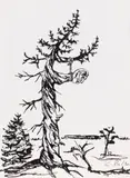 Kalervo Palsa, Deadwood, ink
