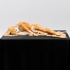 Kim Simonsson, Rauhoittava ääni (Comforting sound) 2004-2006, ceramics, glass, glazing and polyester resin, on the back of the sculpture are patterns made with blue glaze, the polyester resin has yellowed over the years, the work takes its name from the song "Co