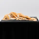 Kim Simonsson, Rauhoittava ääni (Comforting sound) 2004-2006, ceramics, glass, glazing and polyester resin, on the back of the sculpture are patterns made with blue glaze, the polyester resin has yellowed over the years, the work takes its name from the song "Co