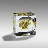 Paul Stankard, Paperweight