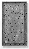 Alia Ali, Ayn, 2022, Archival Pigment-Print, auf Alu-Dibond kaschiert, im mit Baumwollstoff bezogenen Künstlerrahmen
