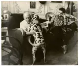 Edward Quinn, Villa La Californie, Cannes: Skulpturen in der Eingangshalle / Der Künstler im Wohnzimmer / Pablo Picasso und Jacqueline Roque mit dem Dalmatiner Perro, 1956, 3 Vintages. Silbergelatineabzüge