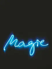 Gunda Förster, MAGIE, 2015, Neon, Blauentladung, transparentes Rohr