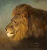 Friedrich Rückart, Löwe Lulu, 1879, Öl auf Papier auf Hartfaserplatte