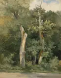 Französisch, um 1840, Baumstudie, Öl auf Leinwand, auf Pappe aufgezogen