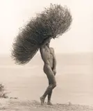 Herb Ritts, Male Nude with Tumbleweed, Paradise Cove