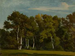 Friedrich Preller d. J., Studie aus dem Park in Weimar, 1857, Öl auf Leinwand auf Pappe