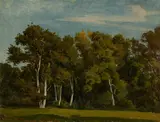 Friedrich Preller d. J., Studie aus dem Park in Weimar, 1857, Öl auf Leinwand auf Pappe