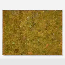 Contemporary, Moss wall, dried moss on panel
