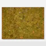 Moss wall by Contemporary, dried moss on panel, offered Mar 2026