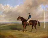 George Henry Laporte, A racehorse with jockey up
