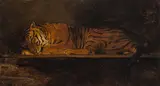 Französisch, um 1830, Tiger, Öl auf Papier, auf Karton, auf Holz aufgezogen
