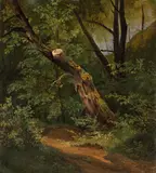 Österreichisch, um 1830, Baumstudie, Öl auf Papier