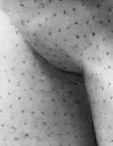 Erwin Blumenfeld, Maillol, Paris (Markierungen auf einer Skulptur)