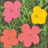 Andy Warhol, Flowers, 1964, Farboffsetlithographie auf Papier