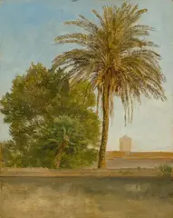 Friedrich Loos, Die Palme bei San Francesco a Ripa Grande, Um 1848, Öl auf Papier auf Pappe