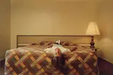 Philip-Lorca diCorcia, Roy; ,in his twenties’; Los Angeles, California; $ 50, aus der Serie „Hustlers