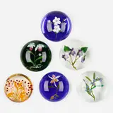 Paul Stankard, Collection of six paperweights