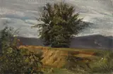 Christian Friedrich Gille, Baum am Abhang