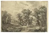 Carl Hummel, Waldlichtung, 1881, Kohle auf Papier