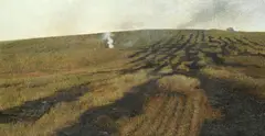 Field bonfire by R.A. David Tindle, offered Apr 2017