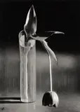 André Kertész, Melancholic Tulip, New York, 1939, Silbergelatineabzug, 1960er Jahre