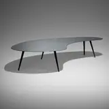 Ron Arad, Puddle 14