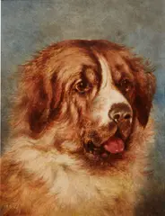 unknown Artist, Head of a St. Bernard, oil on board