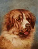 unknown Artist, Head of a St. Bernard, oil on board