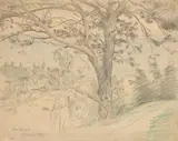 Lovis Corinth, Strandkiefer an der Ostseeküste bei Zoppot, 1896, Bleistift und Farbkreide auf Papier