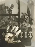 Edmund Kesting, Aschermittwoch 1945“ aus der Serie <br />